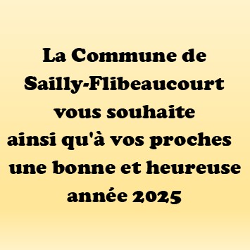 You are currently viewing Meilleurs vœux 2025