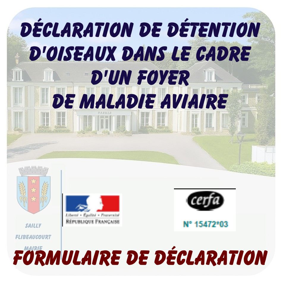 034 Formulaire de déclaration Cerfa 15472-03